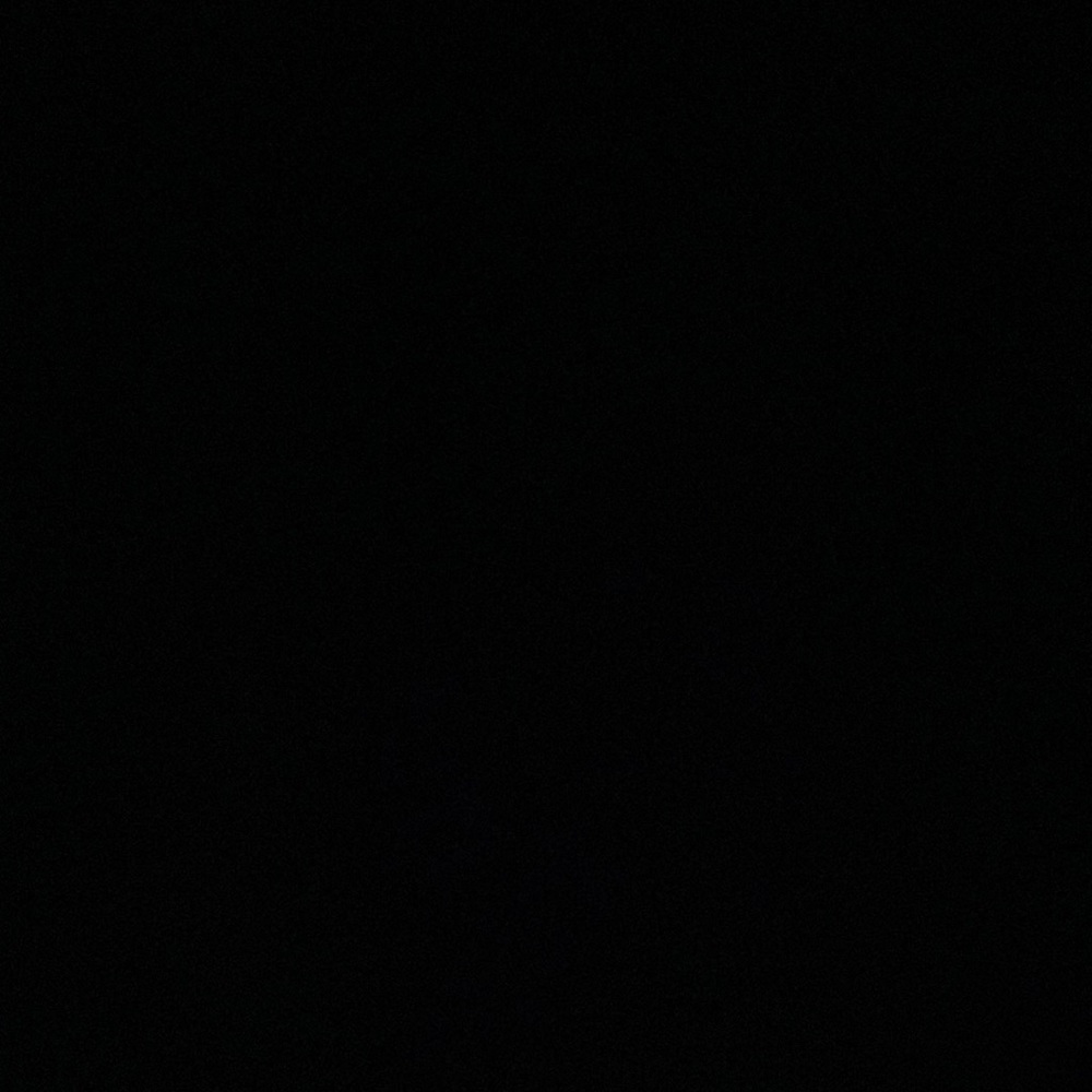 IGNORE